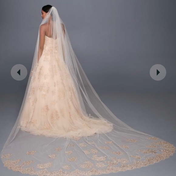 metallic embroidered cathedral veil - Picture 1 of 4